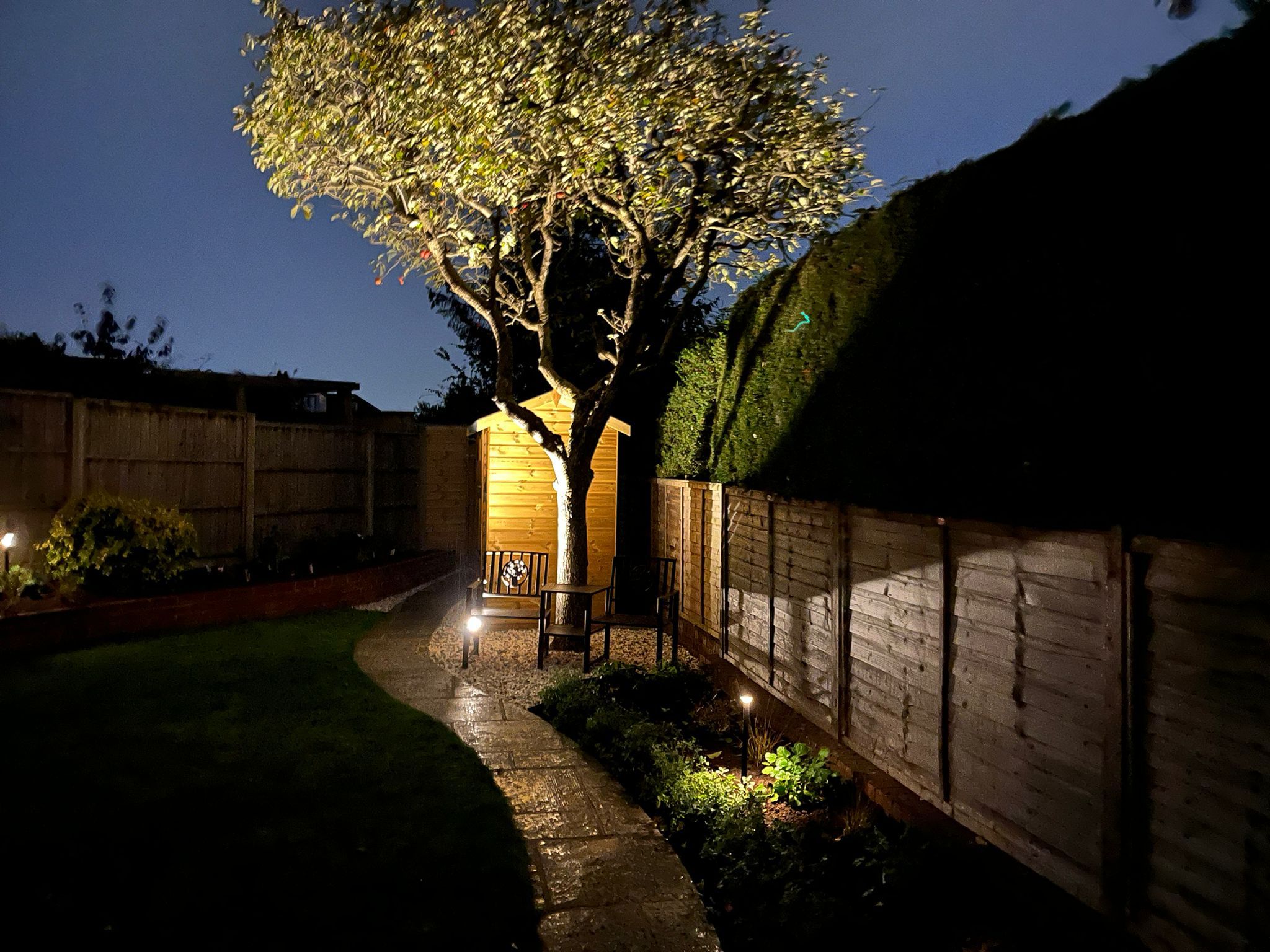 Garden path with fence uplights and tree lighting at night