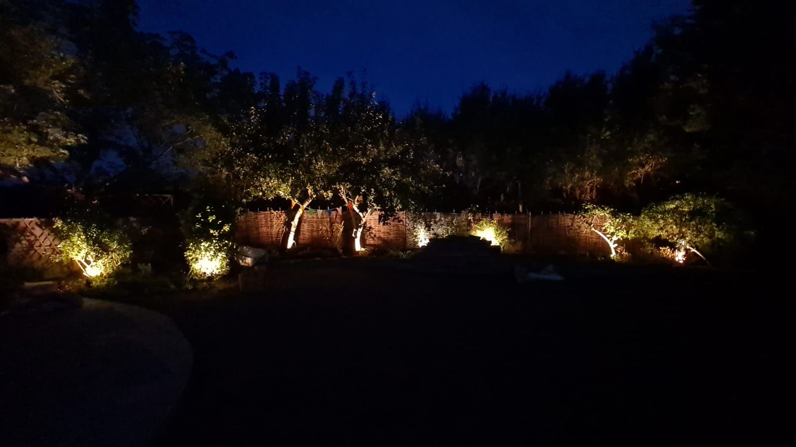 Garden landscape lighting with tree and fence uplights