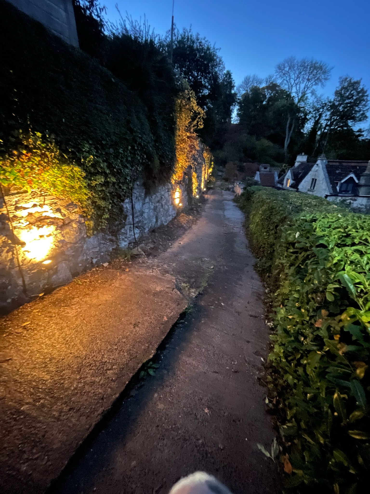 Pathway lighting along hedged walkway at dusk