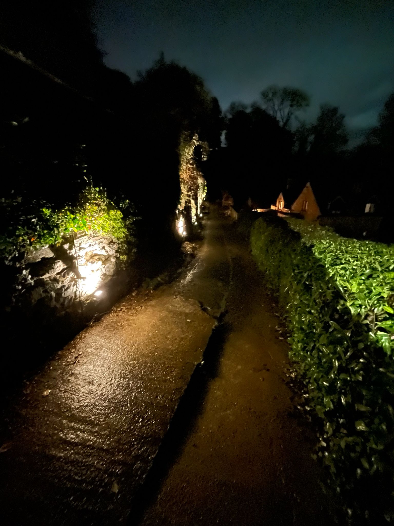 Garden pathway with ground-level uplights at night